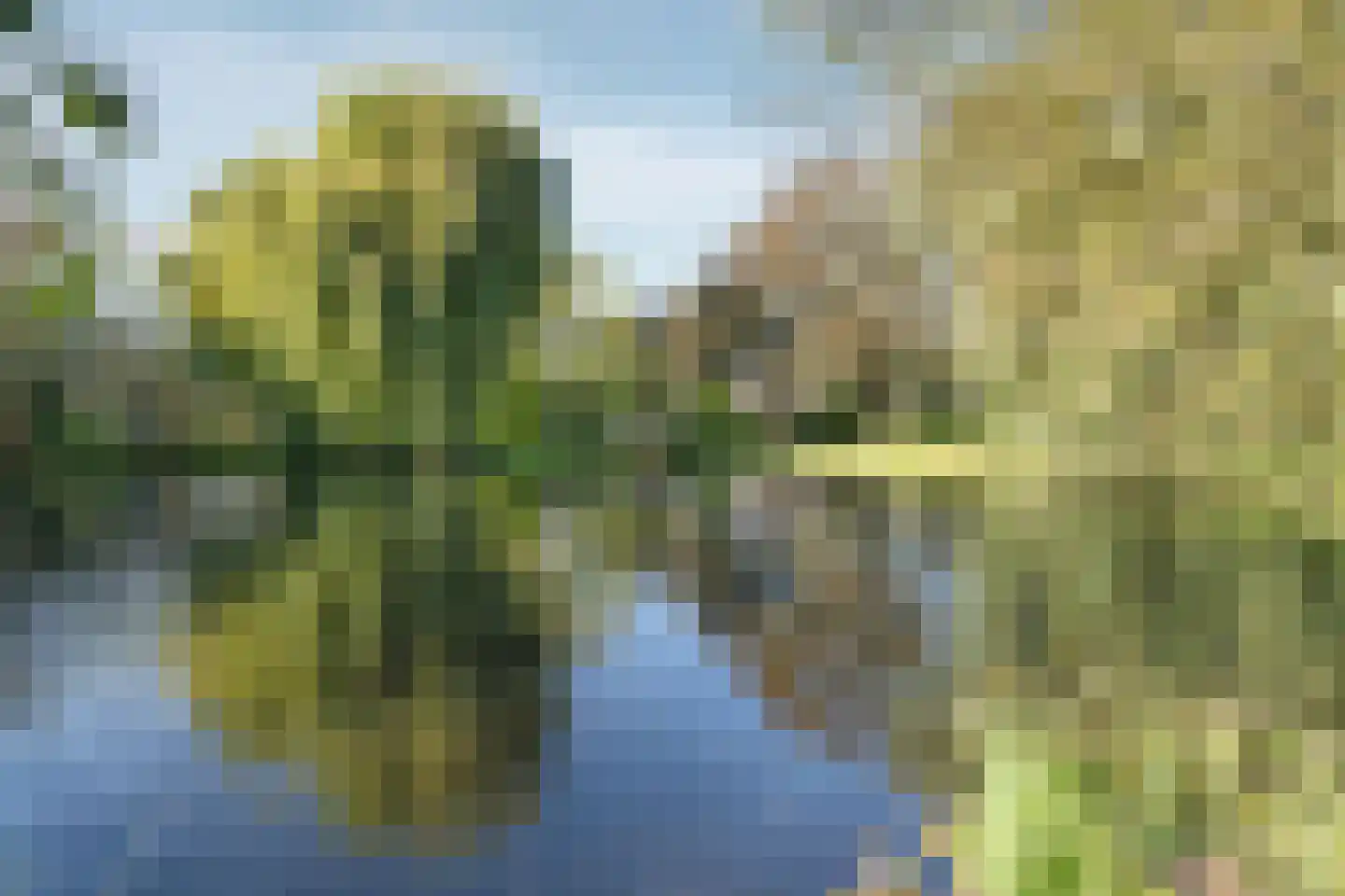Waterlelie 27 Abcoude thumbnail 31