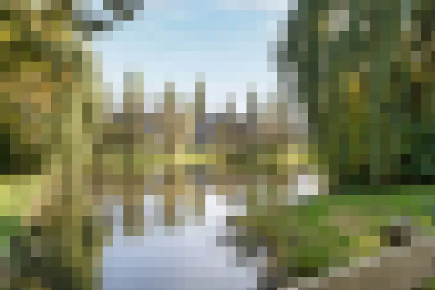 Waterlelie 27 Abcoude thumbnail 32