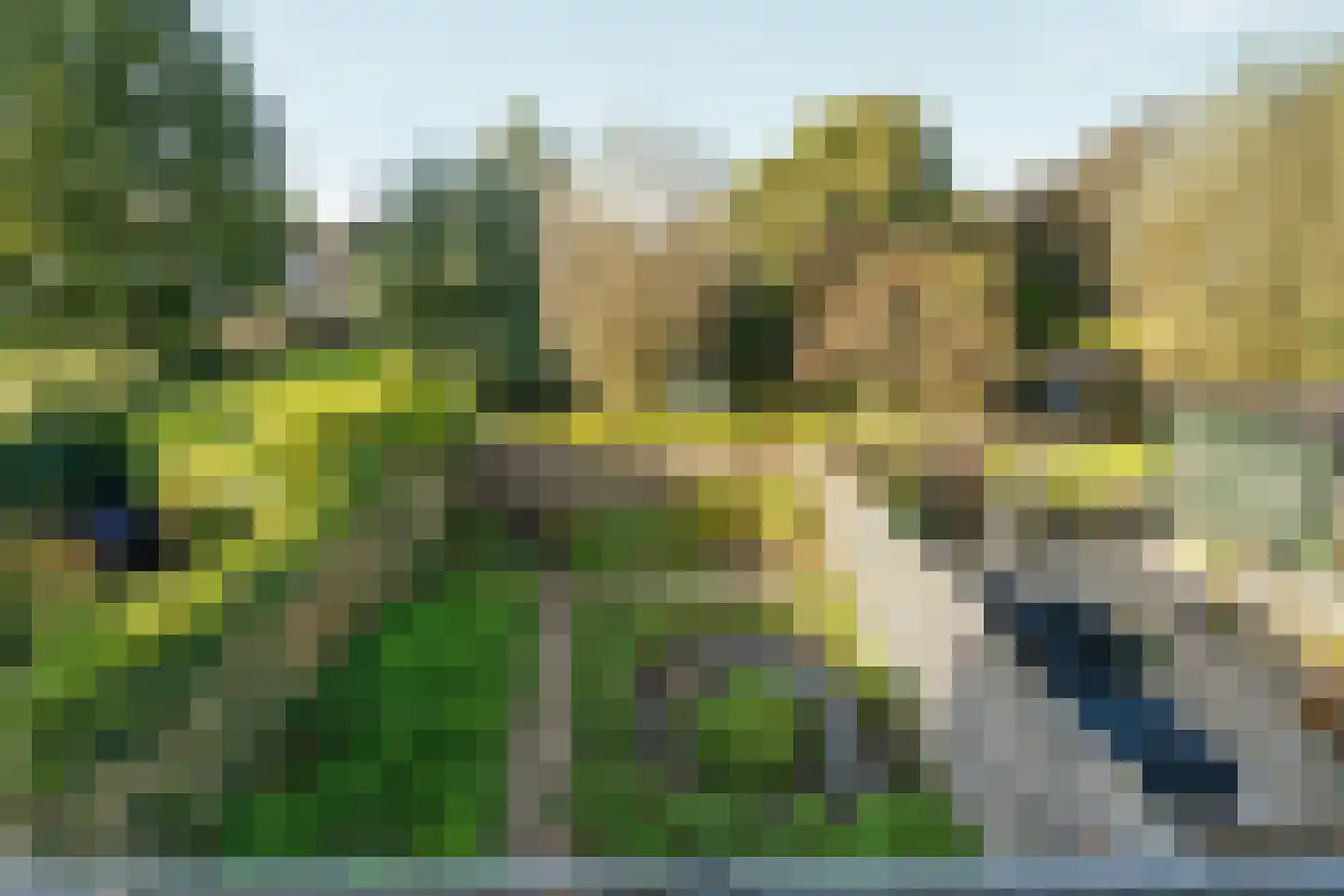 Waterlelie 27 Abcoude thumbnail 5