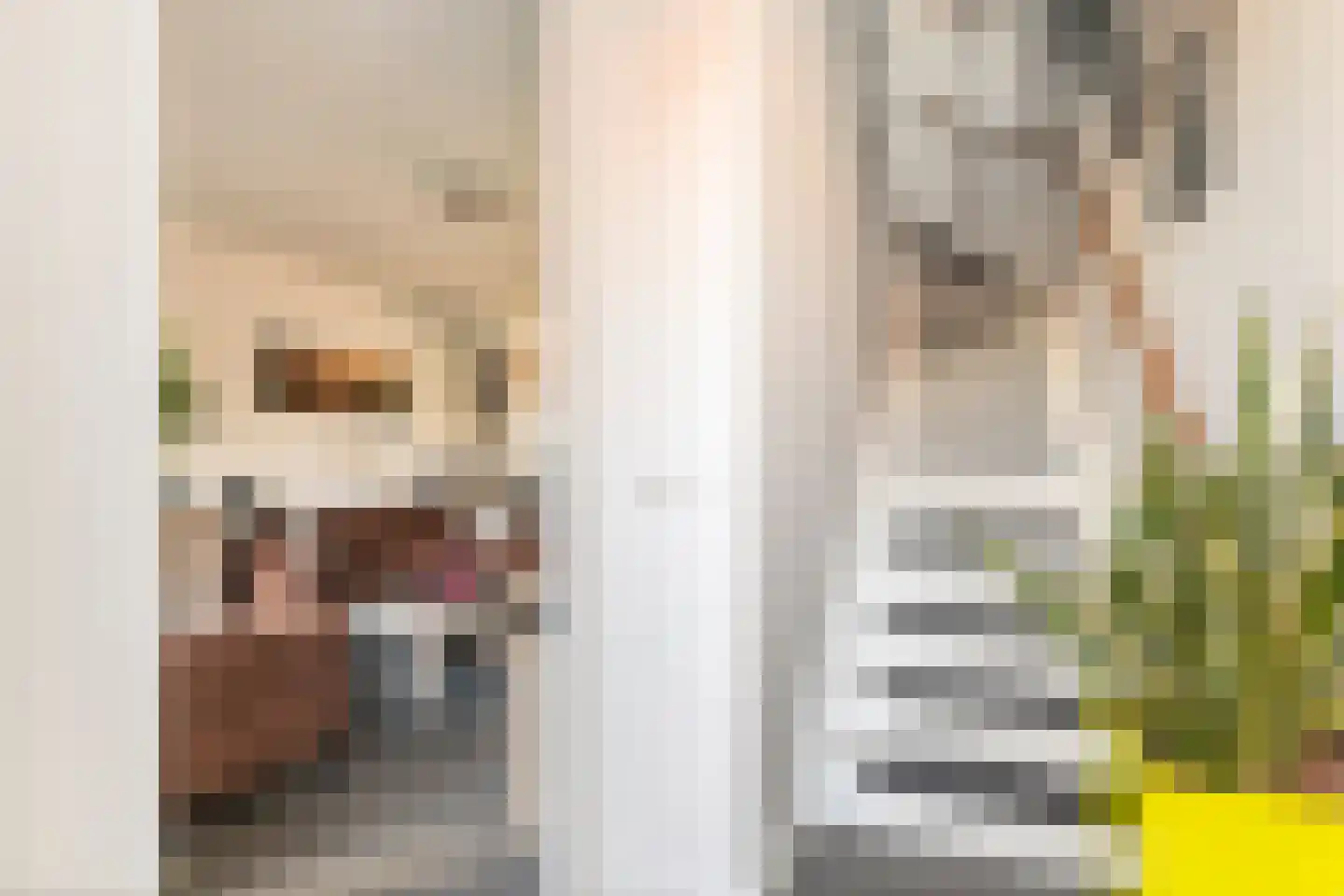 Waterlelie 3 Aalst thumbnail 15