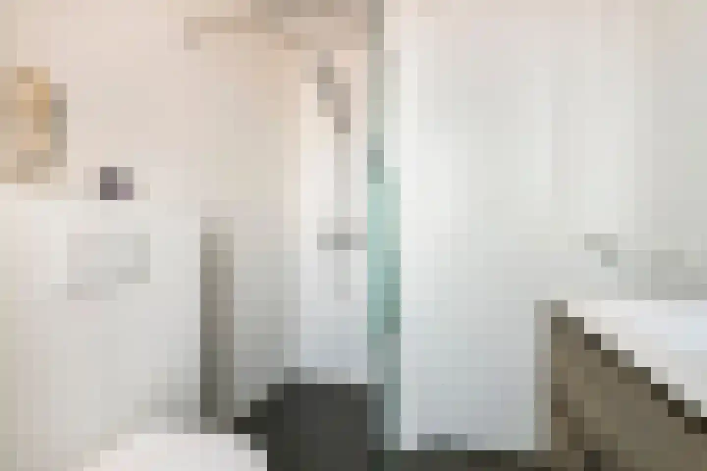 Waterlelie 3 Aalst thumbnail 18