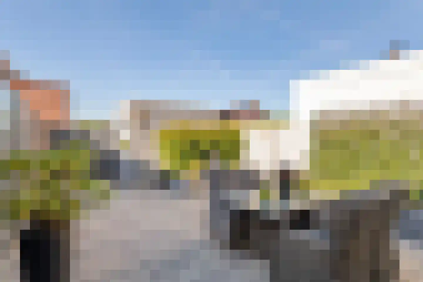 Waterlelie 3 Aalst thumbnail 27