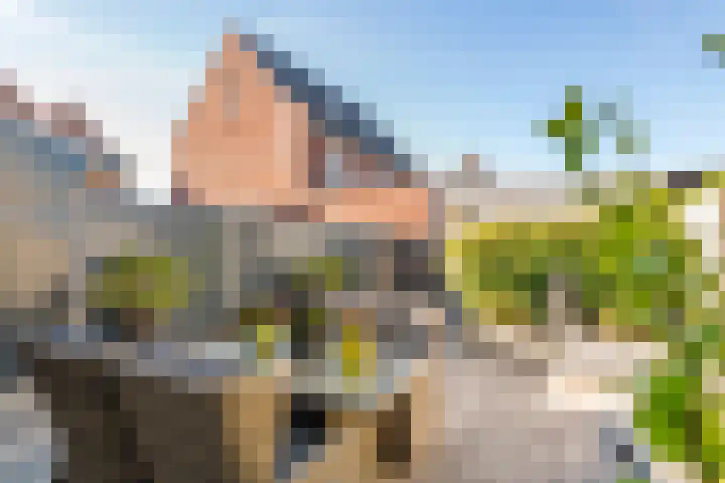 Waterlelie 3 Aalst thumbnail 28