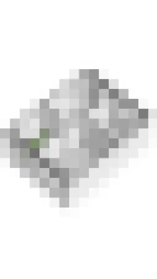 Waterlelie 3 Aalst thumbnail 36