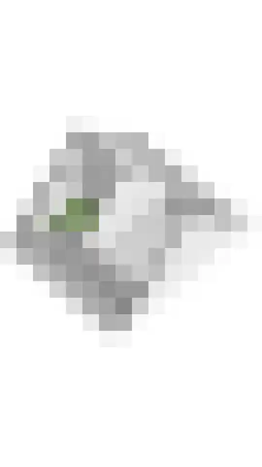 Waterlelie 3 Aalst thumbnail 38