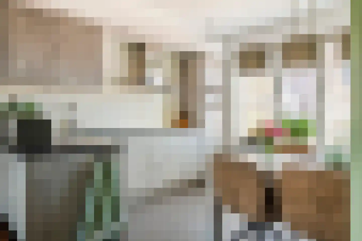 Waterlelie 3 Aalst thumbnail 7