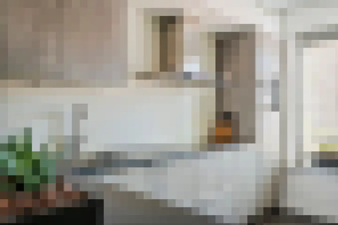 Waterlelie 3 Aalst thumbnail 8