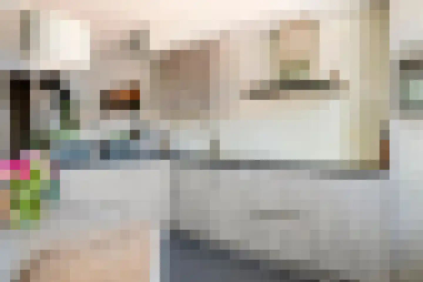 Waterlelie 3 Aalst thumbnail 9