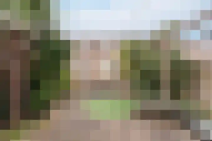Waterlelie 3 Bovenkarspel thumbnail 11