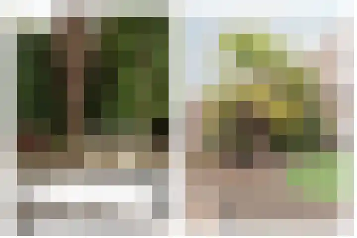 Waterlelie 3 Bovenkarspel thumbnail 12
