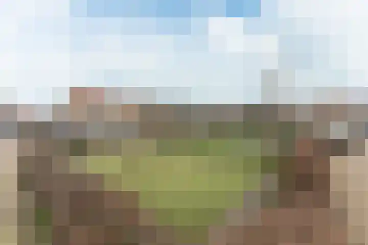 Waterlelie 3 Bovenkarspel thumbnail 13
