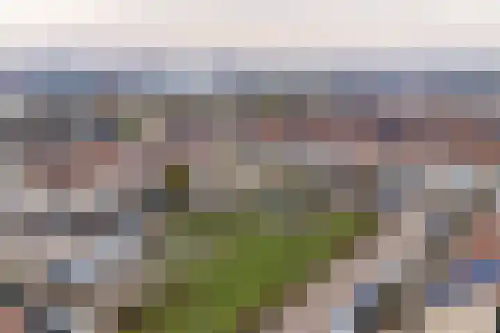 Waterlelie 3 Bovenkarspel thumbnail 14