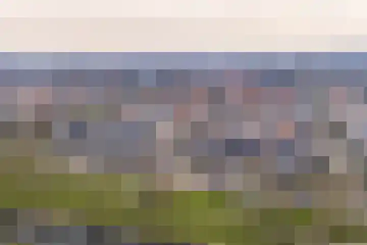 Waterlelie 3 Bovenkarspel thumbnail 15