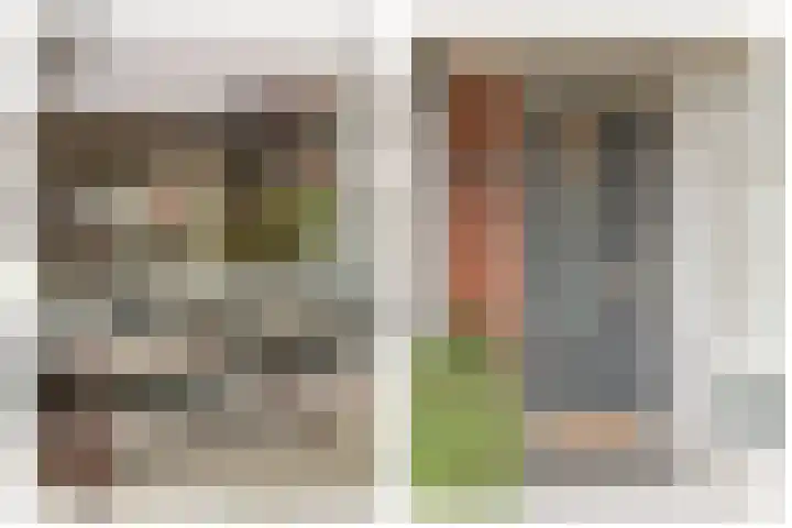 Waterlelie 3 Bovenkarspel thumbnail 17