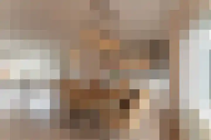 Waterlelie 3 Bovenkarspel thumbnail 20