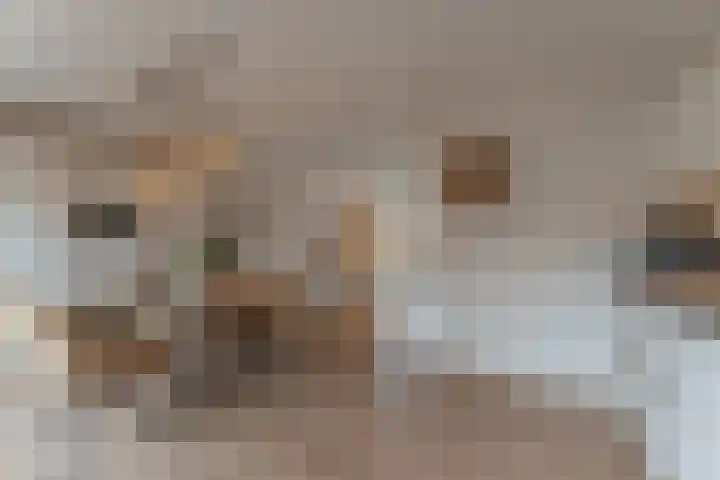 Waterlelie 3 Bovenkarspel thumbnail 21