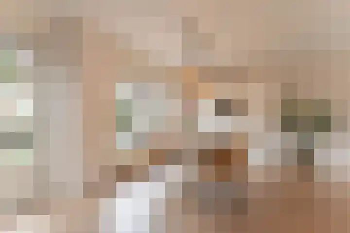 Waterlelie 3 Bovenkarspel thumbnail 23