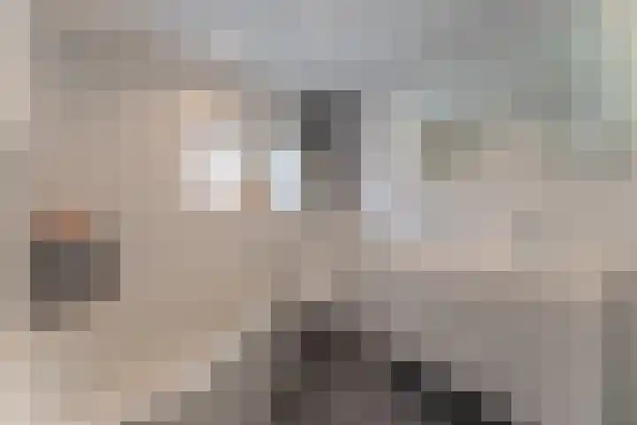 Waterlelie 3 Bovenkarspel thumbnail 32
