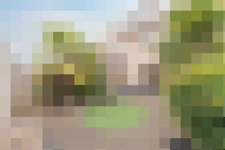 Waterlelie 3 Bovenkarspel thumbnail 44