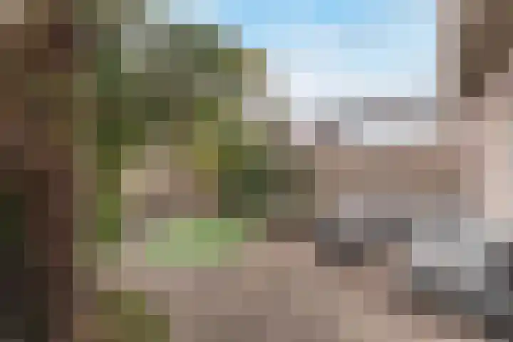 Waterlelie 3 Bovenkarspel thumbnail 45