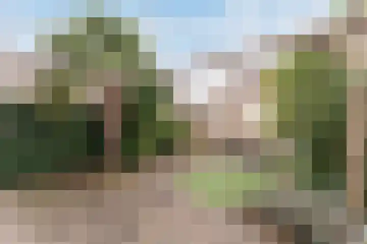 Waterlelie 3 Bovenkarspel thumbnail 46