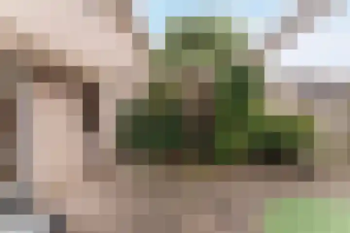 Waterlelie 3 Bovenkarspel thumbnail 47