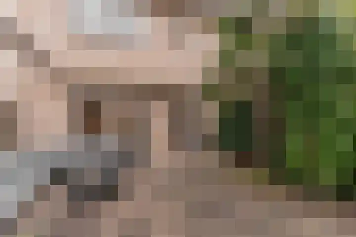 Waterlelie 3 Bovenkarspel thumbnail 48