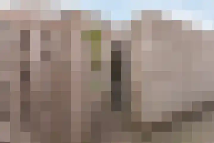 Waterlelie 3 Bovenkarspel thumbnail 49