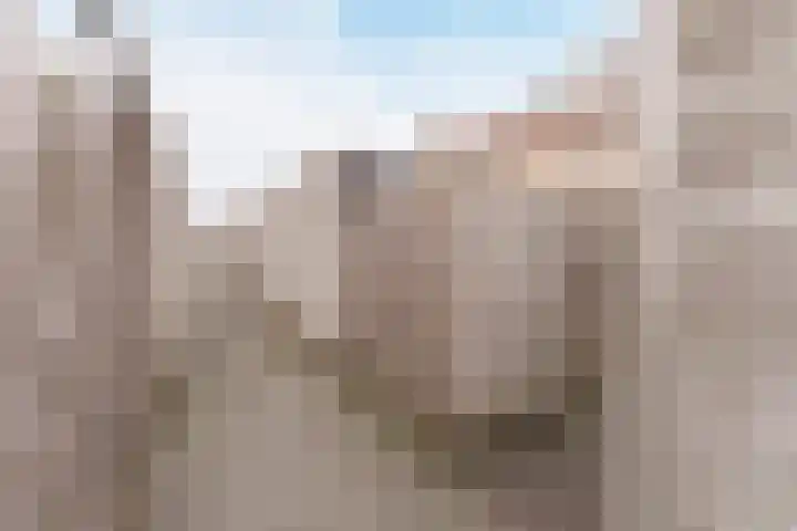 Waterlelie 3 Bovenkarspel thumbnail 50