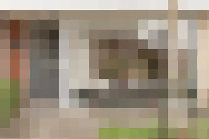 Waterlelie 3 Bovenkarspel thumbnail 51