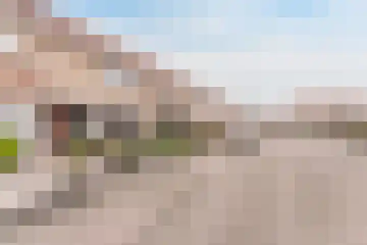 Waterlelie 3 Bovenkarspel thumbnail 52