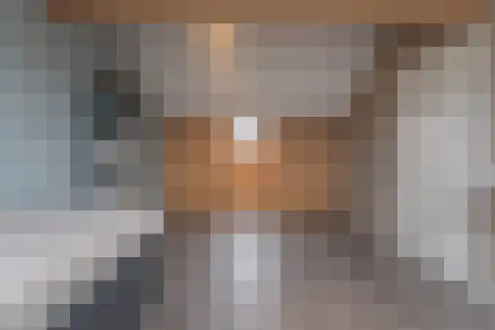Waterlelie 3 Bovenkarspel thumbnail 9