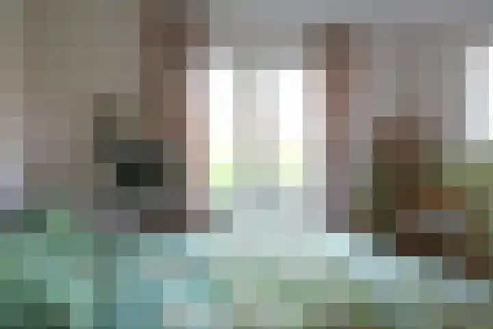 Waterlelie 3 Kollum thumbnail 20