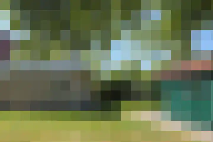 Waterlelie 3 Kollum thumbnail 31
