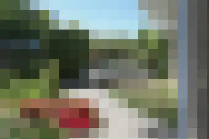 Waterlelie 3 Kollum thumbnail 32