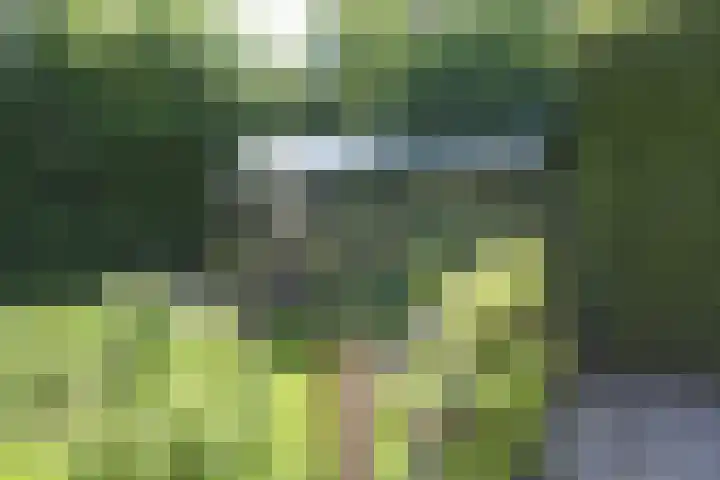 Waterlelie 3 Kollum thumbnail 33