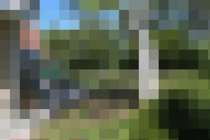Waterlelie 3 Kollum thumbnail 34