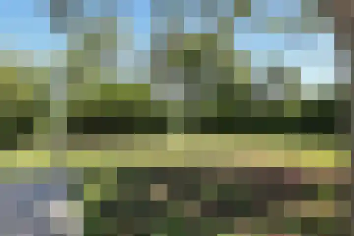 Waterlelie 3 Kollum thumbnail 36