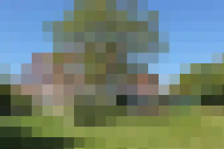 Waterlelie 3 Kollum thumbnail 37
