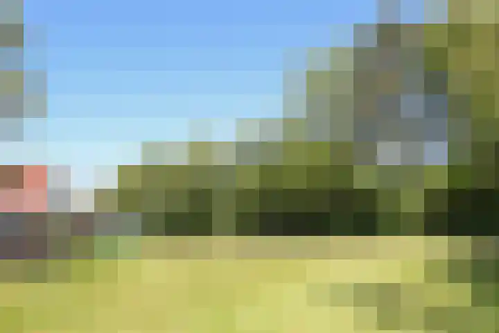 Waterlelie 3 Kollum thumbnail 38