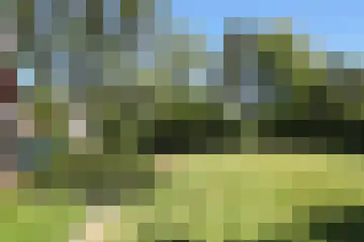 Waterlelie 3 Kollum thumbnail 4