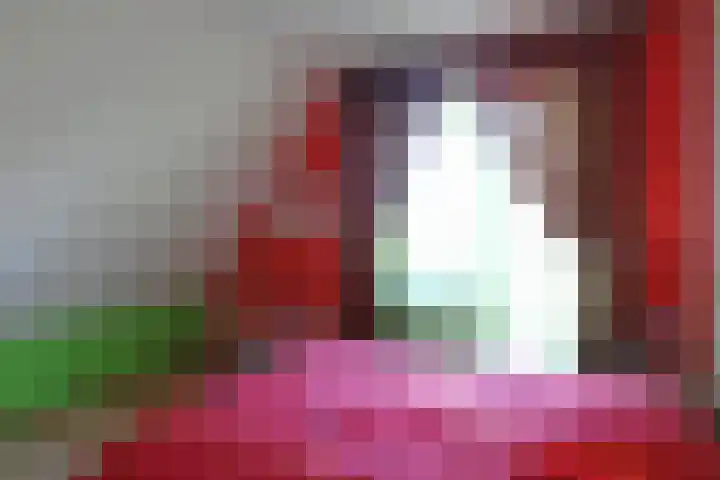 Waterlelie 3 Kollum thumbnail 43