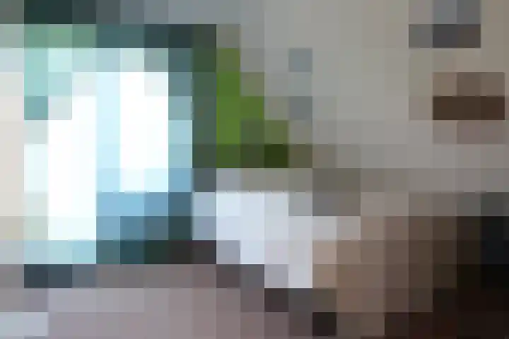 Waterlelie 3 Kollum thumbnail 45