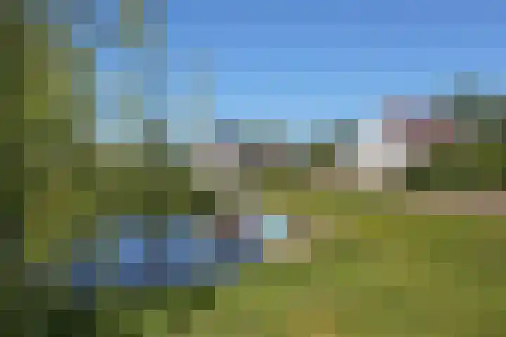 Waterlelie 3 Kollum thumbnail 5