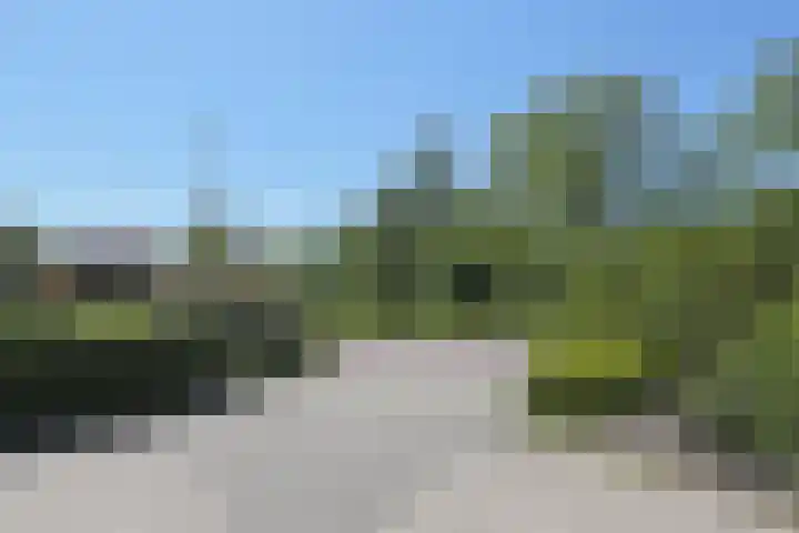 Waterlelie 3 Kollum thumbnail 56
