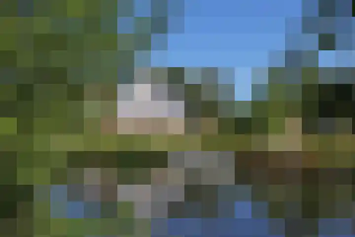 Waterlelie 3 Kollum thumbnail 58