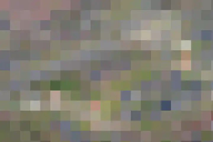 Waterlelie 3 Kollum thumbnail 59
