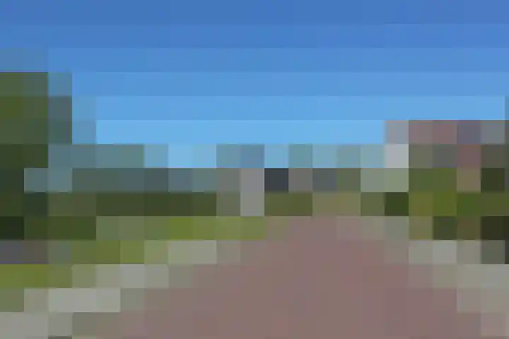 Waterlelie 3 Kollum thumbnail 6