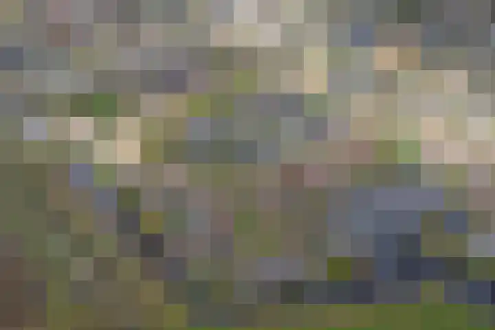 Waterlelie 3 Kollum thumbnail 60