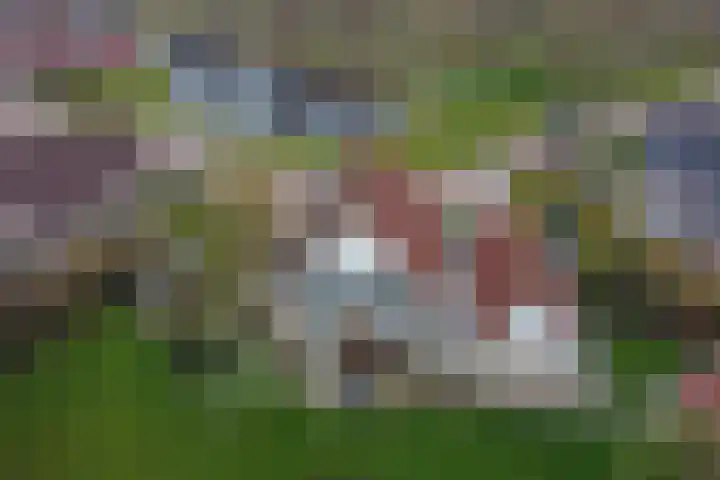 Waterlelie 3 Kollum thumbnail 61